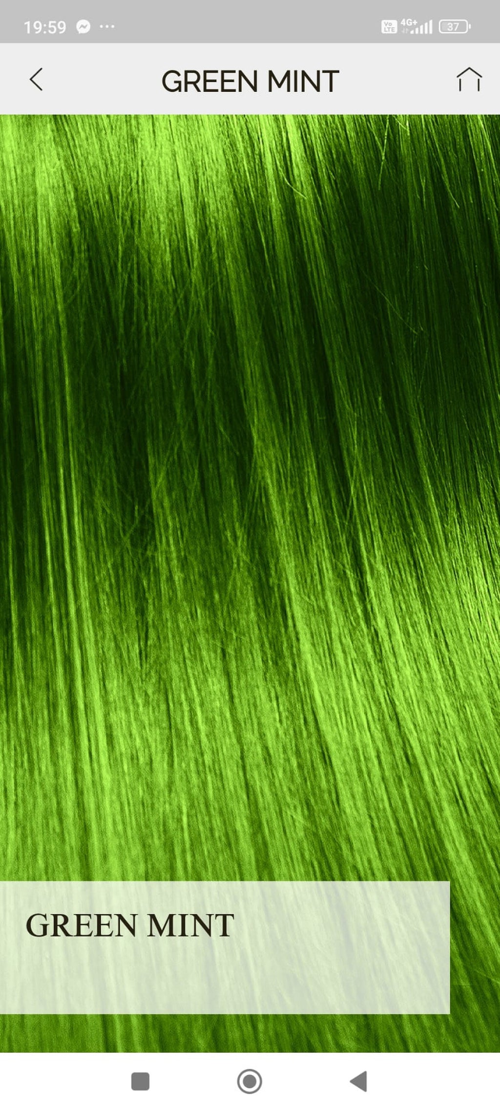 Pigment de par Green Mint